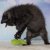 Yeowww! Stinky 8 cm catnip äkta ekologisk kattmynta kattleksak liten fisk gul röd grön stinkies populär bästa kattleksaken
