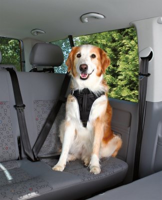 Zoom bild av Bilsele Dog Protect, svart (ny karbin)