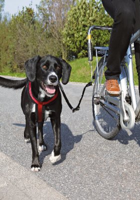 Biker-set, L-form, S-M cykelset hund