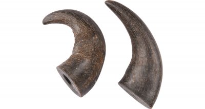 Zoom bild av Nature Snack Buffalo Horn S 2-pack