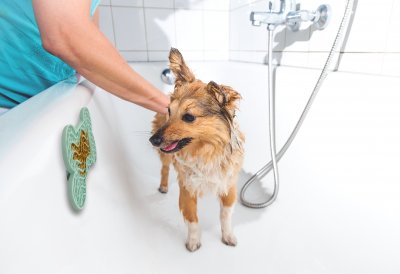 Zoom bild av Lick Pad Yummee Silicone Bone Mint Green S 15Cm