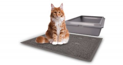 Zoom bild av Kattsandsmatta Matti Tumbi Grå 60x90 cm