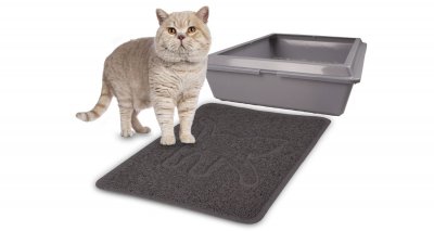 Zoom bild av Kattsandsmatta Matti Rosie Grå