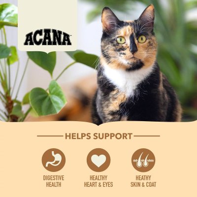 Zoom bild av Acana Cat Homestead Harvest kattfoder premium kvalitet kyckling kalkon vuxen katt