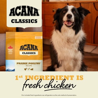 Zoom bild av Acana Dog Classic Prairie Poultry hundfoder premium kyckling kalkon fullkorn