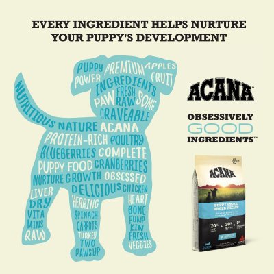 Zoom bild av Acana Puppy Small Breed Recipe valpfoder små raser hundfoder valp kyckling flundra spannmålsfritt liten hund