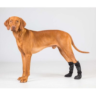 Zoom bild av Back on Track Hundsocka Hög Lola Svart