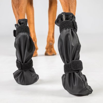 Zoom bild av Back on Track Hundsocka Hög Lola Svart