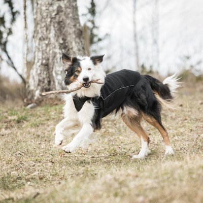 Zoom bild av hundtröja fleece welltex iontex svart back on track