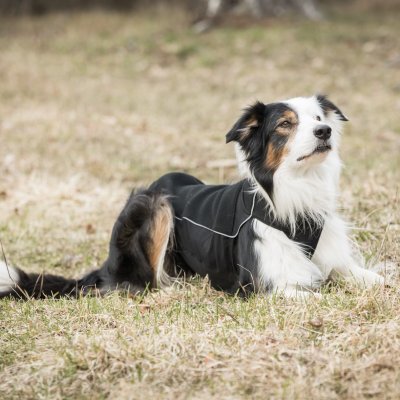 Zoom bild av hundtröja fleece welltex iontex svart back on track