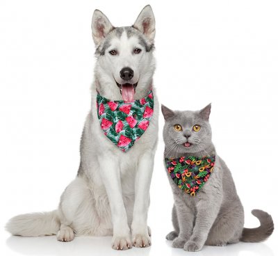 Zoom bild av Bandana, flera somriga mönster