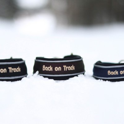 Charlie Hundhalsband, Blå, olika storlekar