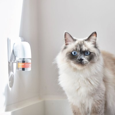 Zoom bild av Beaphar CatComfort Calming Diffusor