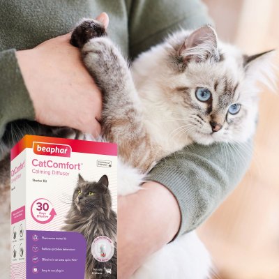 Zoom bild av Beaphar CatComfort Calming Diffusor