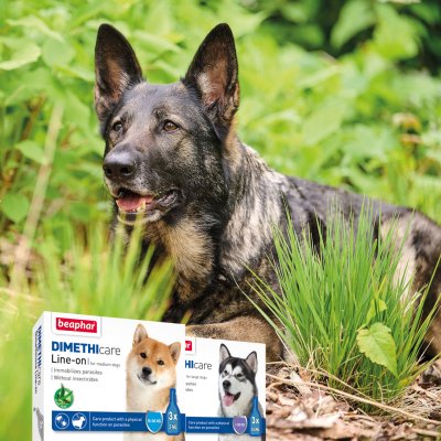 Beaphar Dimethicare Line-on Fästingmedel för hundar