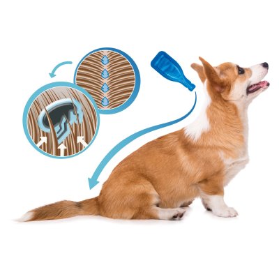 Beaphar Dimethicare Line-on Fästingmedel för hundar