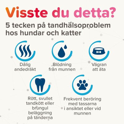 Zoom bild av Beaphar Munvatten 250 ml