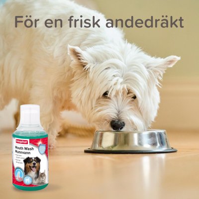 Zoom bild av Beaphar Munvatten 250 ml