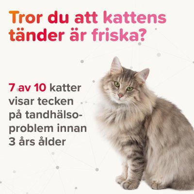 Zoom bild av Beaphar Munvatten 250 ml