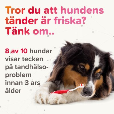 Zoom bild av Beaphar Munvatten 250 ml