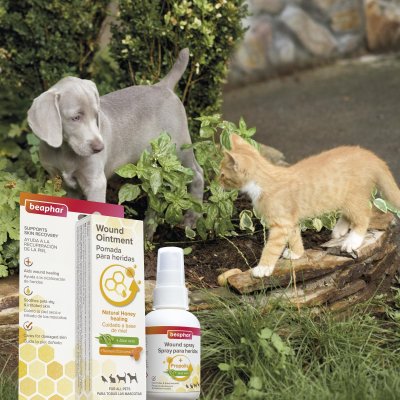 Zoom bild av Beaphar Sårsalva med honung 30ml