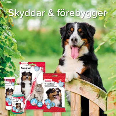 Zoom bild av Beaphar Tandkräm m enzymer hund & katt 100g