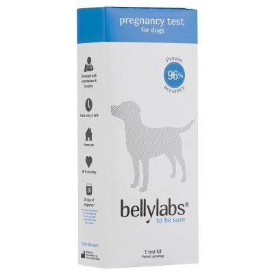 Bellylabs Dräktighetstest Hund
