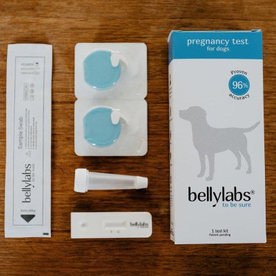 Zoom bild av Bellylabs Dräktighetstest Hund