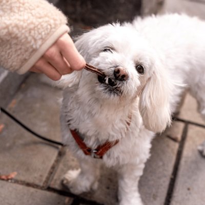 Zoom bild av hundsnacks hundgodis anka duck naturligt buddy träningsgodis hundtugg