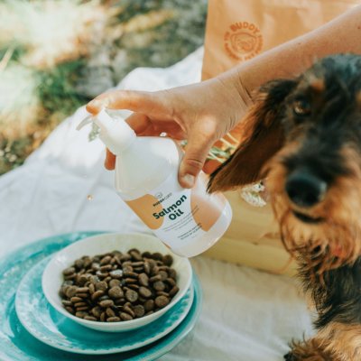 Zoom bild av laxolja salmon oil kosttillskott omega3 hund katt vitamin nyttigt buddy naturligt