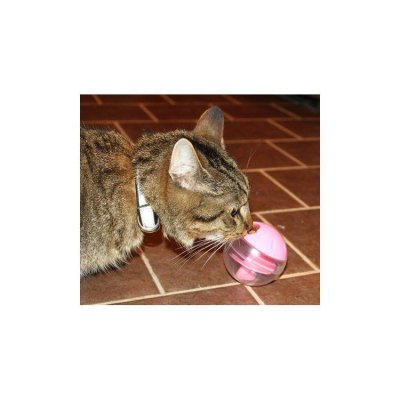 Zoom bild av Catit Godisboll Treat Ball Ø 8 cm, två färger