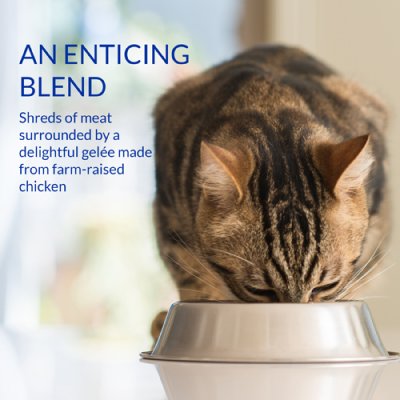 Zoom bild av Ciao Chicken Stew With Chicken & Tuna 40g