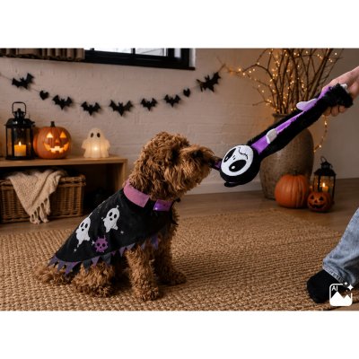 Zoom bild av Companion Halloween Fladdermus plyschleksak svart lila vit monster katt mjuk plysch hundleksak