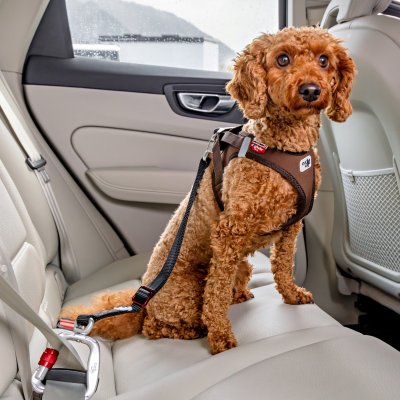 Zoom bild av Curli Säkerhetsbälte för bil V2 car safety belt svart röd silver metall hund i bil bilbälte bilkoppel hundkoppel bil bilbur