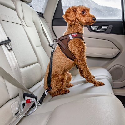 Zoom bild av Curli Säkerhetsbälte för bil V2 car safety belt svart röd silver metall hund i bil bilbälte bilkoppel hundkoppel bil bilbur