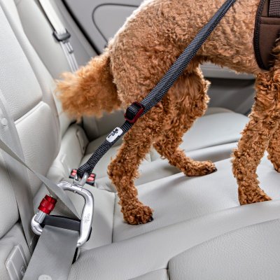 Zoom bild av Curli Säkerhetsbälte för bil V2 car safety belt svart röd silver metall hund i bil bilbälte bilkoppel hundkoppel bil bilbur