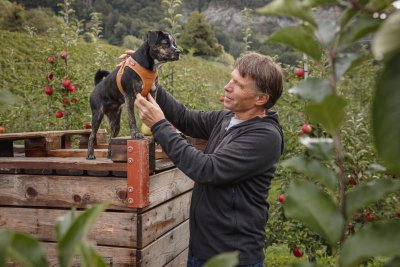 Zoom bild av Curli Vegan Apple Leather Harness