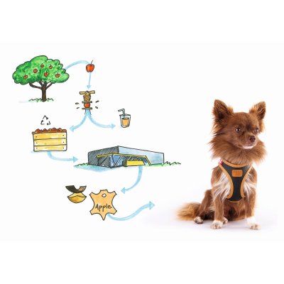 Zoom bild av Curli Vegan Apple Leather Harness