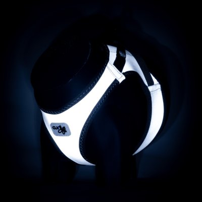 Zoom bild av Curli Vest Clasp Glow Reflexsele hundsele reflex harness air mesh clasp reflective grå silver
