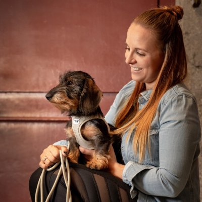 Zoom bild av Curli Vest Sele Clasp Air-Mesh Exempel