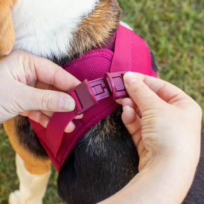 Zoom bild av hundsele lättknäppt idskydd kylande kylväst sele snabb smidig rosa ljusrosa mönster curli pink