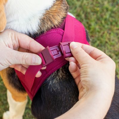 Zoom bild av Curli Vest Sele Clasp Air-Mesh Olive grön hundsele små mellanstora hundar luftig mjuk skön kylande svalkande