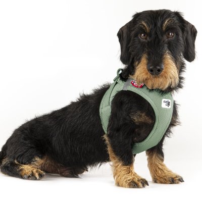 Zoom bild av Curli Vest Sele Clasp Air-Mesh Olive grön hundsele små mellanstora hundar luftig mjuk skön kylande svalkande