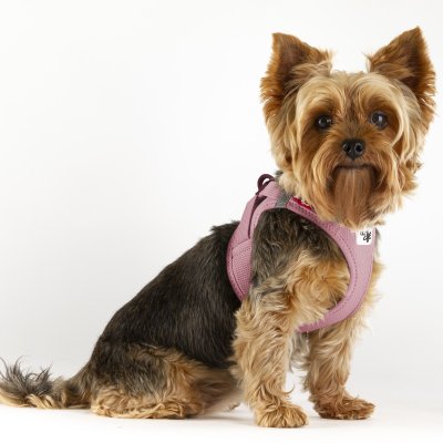 Zoom bild av Curli Vest Sele Clasp Air-Mesh Rose rosa hundsele små mellanstora hundar luftig mjuk skön kylande svalkande