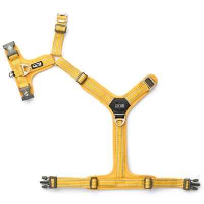 Zoom bild av hundsele sele harness antidragsele design reflex stadig hundkoppel hundhalsband gul lemon dog copenhagen hundpromenad