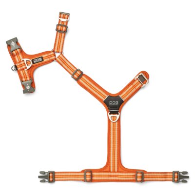 Zoom bild av hundsele sele harness antidragsele design reflex stadig hundkoppel hundhalsband orange sun dog copenhagen hundpromenad