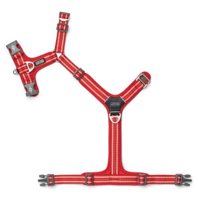 Zoom bild av hundsele sele harness antidragsele design reflex stadig hundkoppel hundhalsband röd dog copenhagen hundpromenad