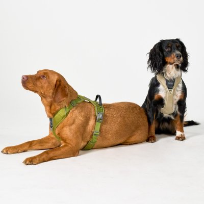 Zoom bild av hundsele sele harness antidragsele sele comfort walk pro design reflex stadig hundkoppel hundhalsband grön hunting green dog cop