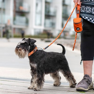 Zoom bild av hundhalsband halsband collar design reflex stadig hundkoppel beige desert dune dog copenhagen hundpromenad