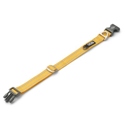 Zoom bild av hundhalsband halsband collar design reflex stadig hundkoppel gul lemon dog copenhagen hundpromenad
